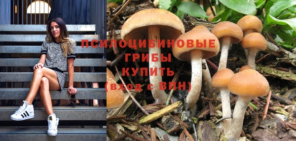 прущая мука Надым