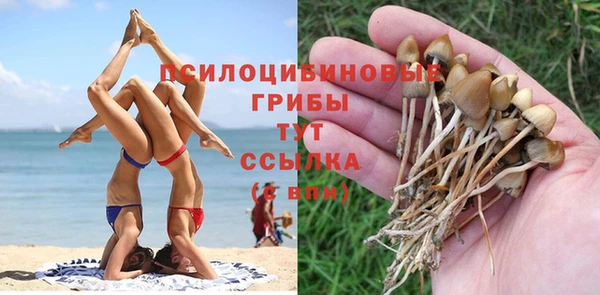 прущая мука Надым