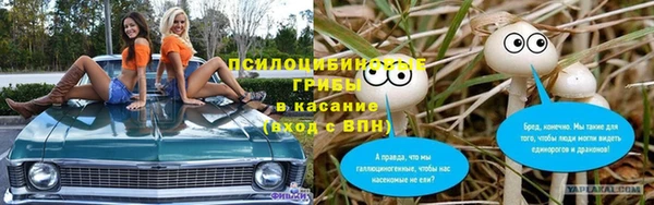 молекула духа Навашино