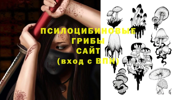 молекула духа Навашино
