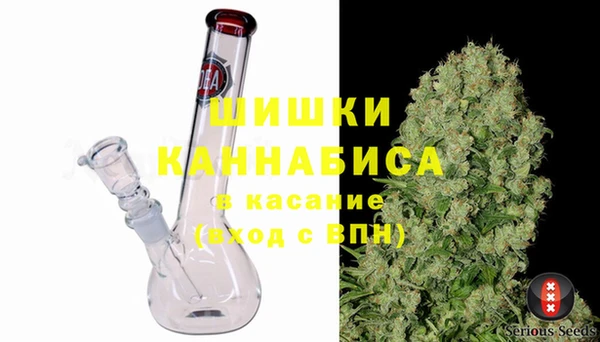 сатива Наволоки