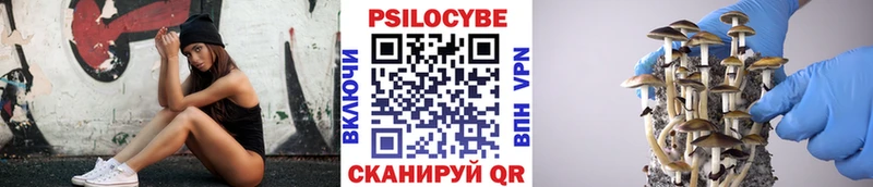 магазин Елизаветинская Галлюциногенные грибы Magic Shrooms